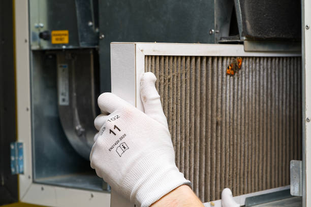 Best Professional Duct Cleaning Services  in Limestone Creek, FL