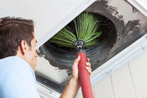 Best Affordable Duct Cleaning Services  in Limestone Creek, FL